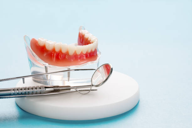 Professional  Holistic Dental Services in Tiptonville, TN